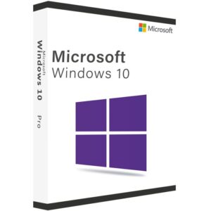 Windows 10 Professional
