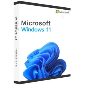 Windows 11 Professional