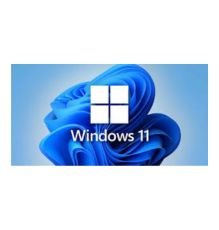 Windows 11