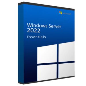 Windows Server 2022 Essentials interface showing network management and security tools.