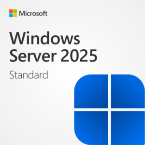 Server management interface of Windows Server 2025 Standard showing storage solutions.